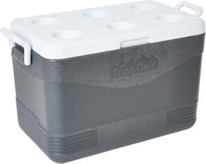 Cosmoplast Keep Cold Plastic Picnic Icebox 46 Liter - Grey